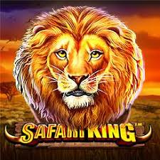 Capa de Vs50safariking